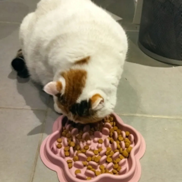 Silicone Pet Licking Pad Cat and Dog Slow Food Non-slip Placemat Pet Bowl CW2219 Huan Le Yang Guang